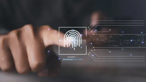 Einführung der Wirtschafts-Identifikationsnummer (W-IdNr.)