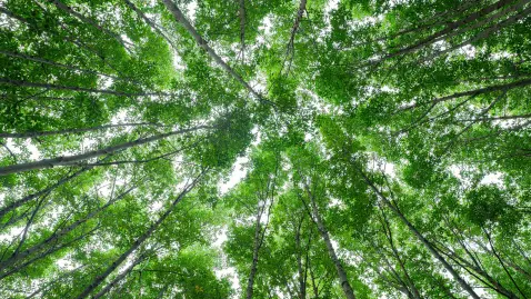 FALK Momentum: Nachhaltigkeit als strategischer Erfolgsfaktor