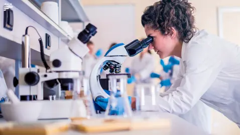 Investitionsbooster Forschungszulage – höhere Förderung ab 2026